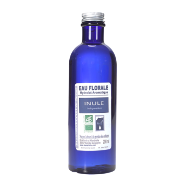 Inule odorante