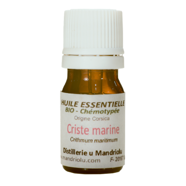 Criste marine